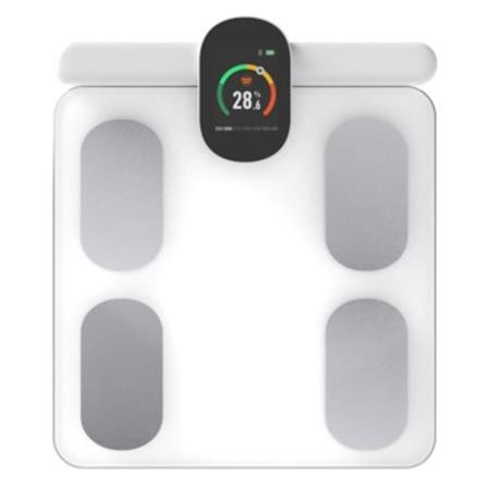 เครื่องชั่งน้ำหนักวัดมวลกาย NIKITO FG2305ULB สีขาว_0