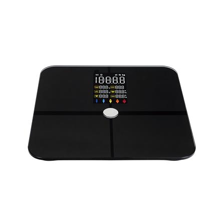 เครื่องชั่งน้ำหนักวัดมวลกาย NIKITO FI2319WB-D สีดำ_2