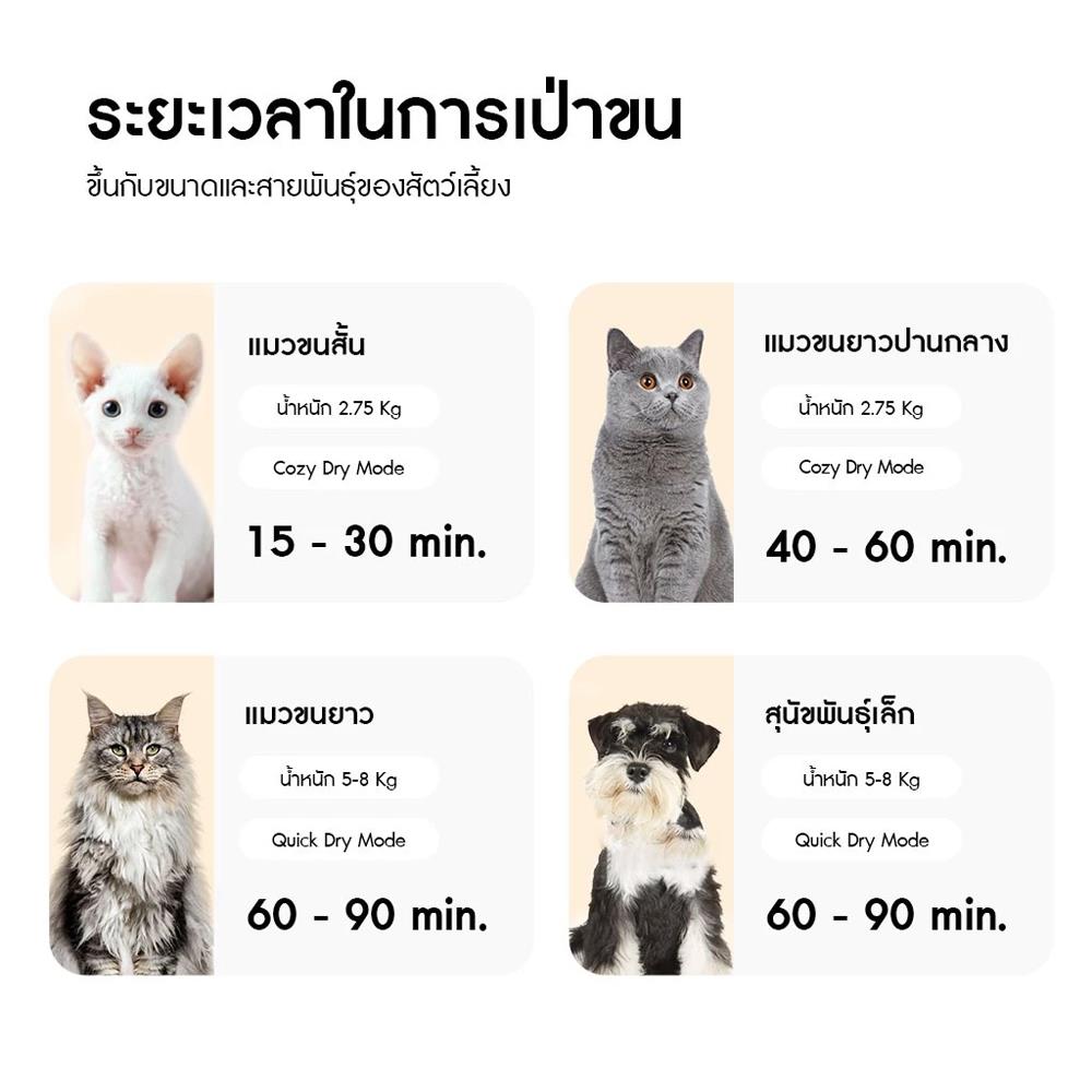 ตู้เป่าขนสัตว์เลี้ยง HOMERUNPET PD60 สีขาว