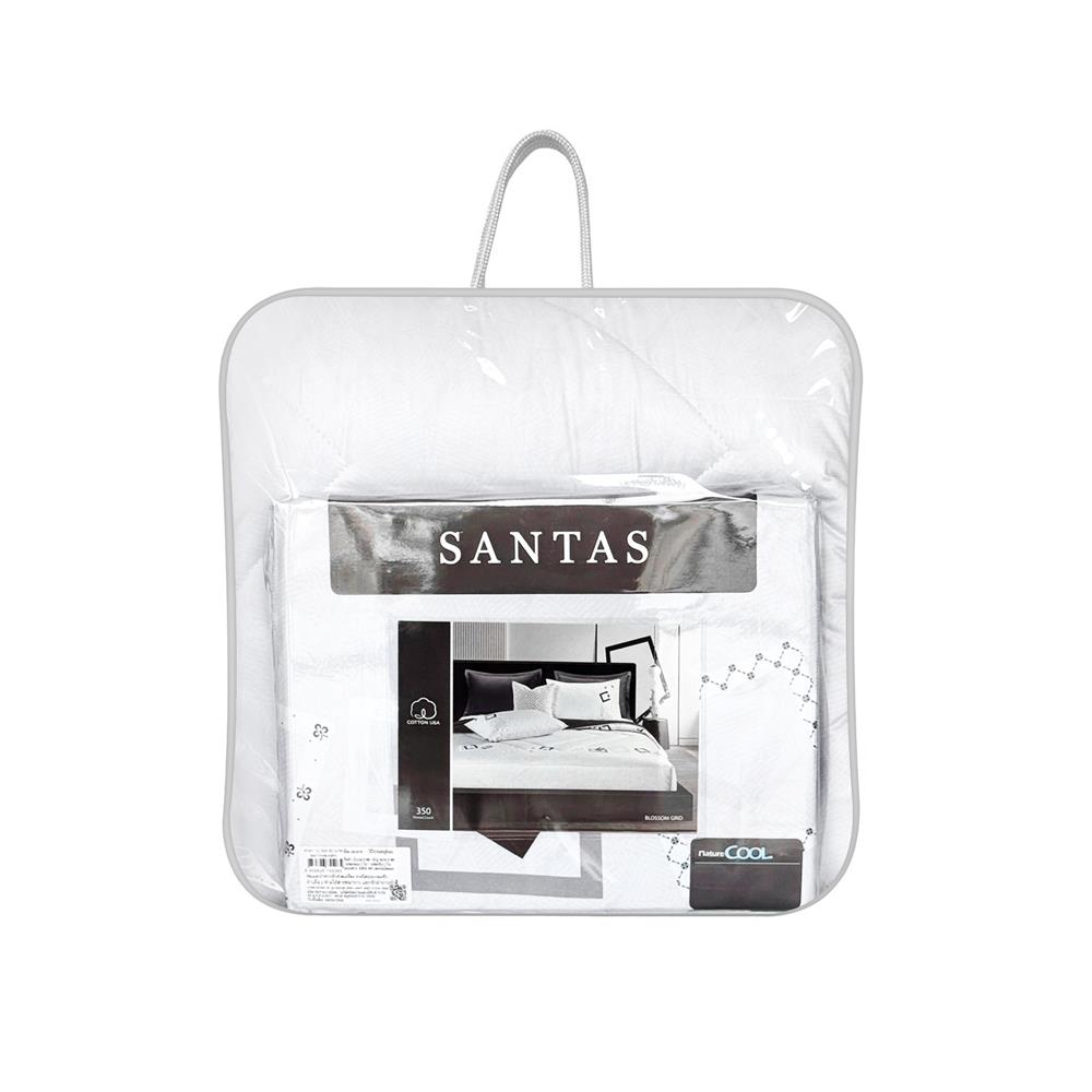 ชุดผ้าปูที่นอน 6 ฟุต (ชุด 6 ชิ้น) SANTAS COTTON USA BLOSSOM GRID LK