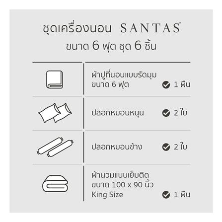 ชุดผ้าปูที่นอน 6 ฟุต (ชุด 6 ชิ้น) SANTAS COTTON USA BLOSSOM GRID LK_6