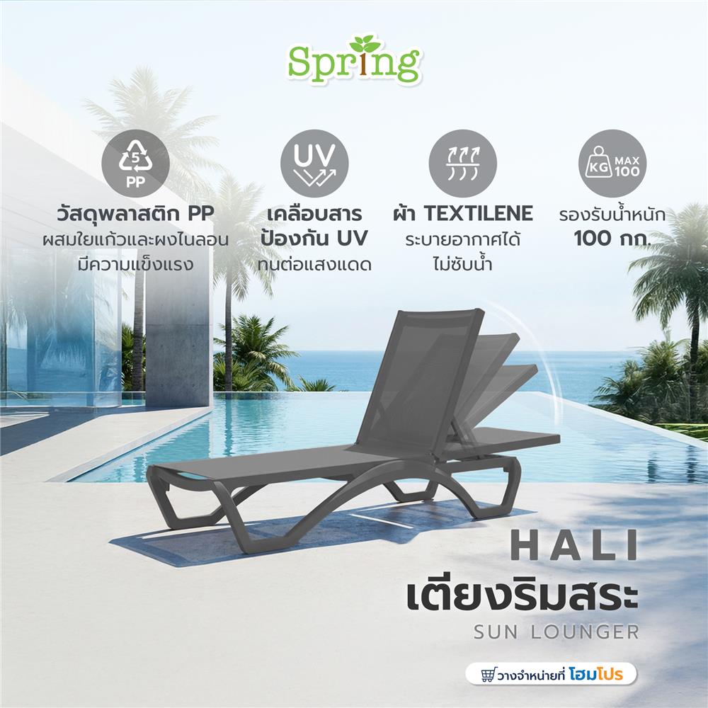 เตียงริมสระ SPRING HALI สีดำ