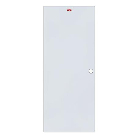 ประตูภายนอกเหล็ก เจาะลูกบิด PROFESSIONAL DOOR D2G 89.2x199.4 ซม. สีเทา