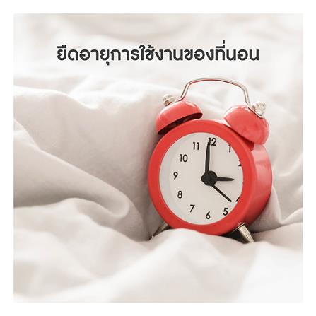 ผ้ารองกันเปื้อน TWIN SIZE LOTUS FULL FIT PERFECT SLEEP สีขาว_13