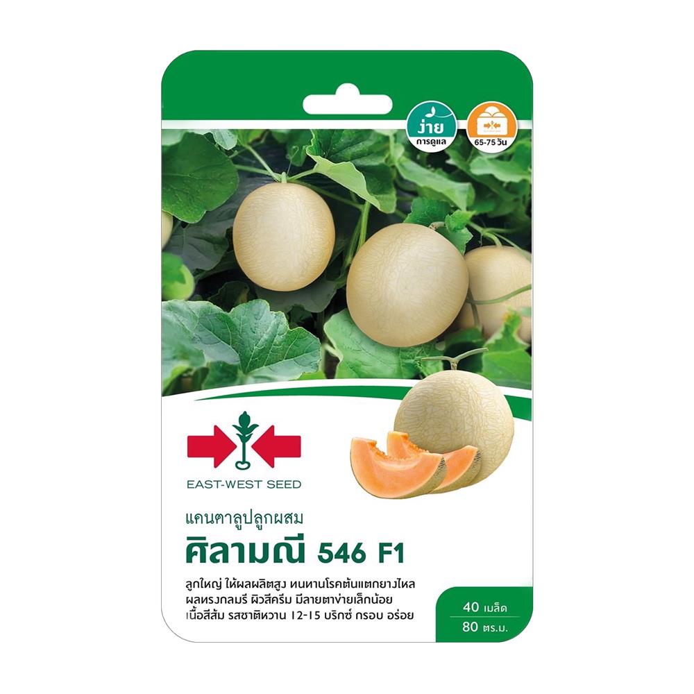 เมล็ดพันธุ์แคนตาลู ศิลามณี 546 F1 ศรแดง 40 เมล็ด