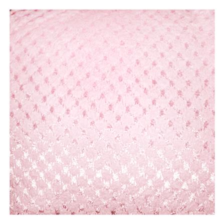 ผ้าห่ม STEVENS CARA BLANKET 70x90 นิ้ว สี LR12LP_1