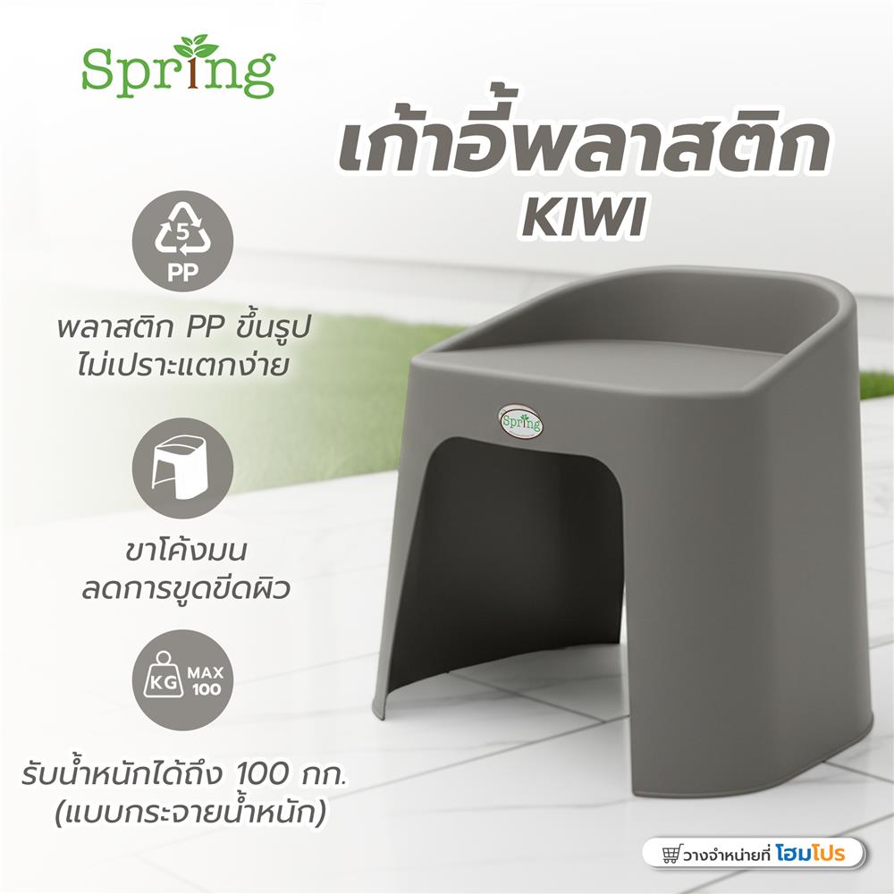 เก้าอี้พลาสติก SPRING KIWI CHAIR สีเทา