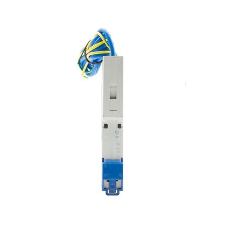 เบรกเกอร์กันดูด 50 แอมป์ 1 โพล CHINT NB3LEU_1