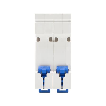 เมนเบรกเกอร์กันดูด 50 แอมป์ 2 โพล 10KA CHINT NXB-63H Curve C_2