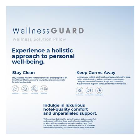 หมอนหนุน ไมโครไฟเบอร์ FROLINA WELLNESS GUARD M BAG 19x29 นิ้ว สีขาว_7