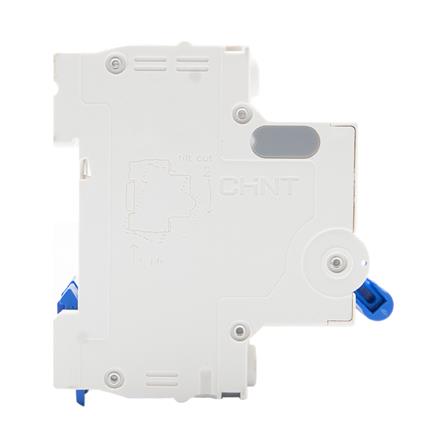 เมนเบรกเกอร์กันดูด 63 แอมป์ 2 โพล CHINT NXBLE-63H_1