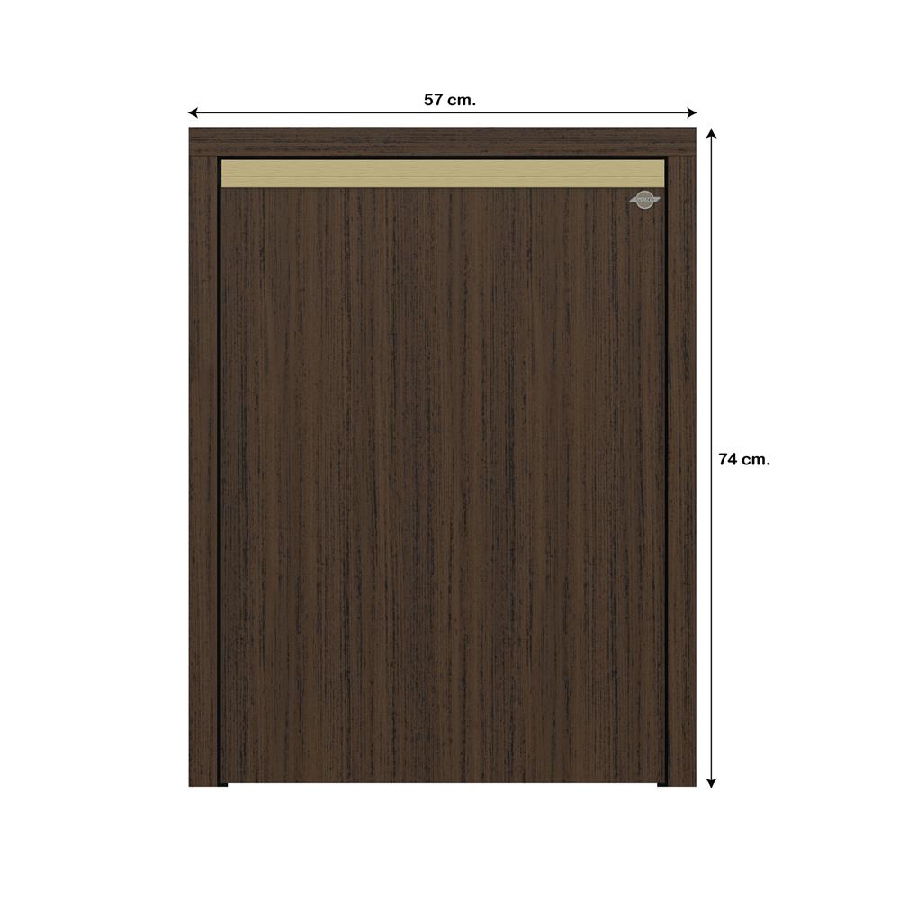 บานถังแก๊สเรียบ JUPITER JUVENTAS 57x74 ซม. สี DARK TEAK