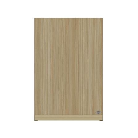 ตู้แขวนเดี่ยว JUPITER JUVENTAS 40x60 ซม. สี WOODS_0