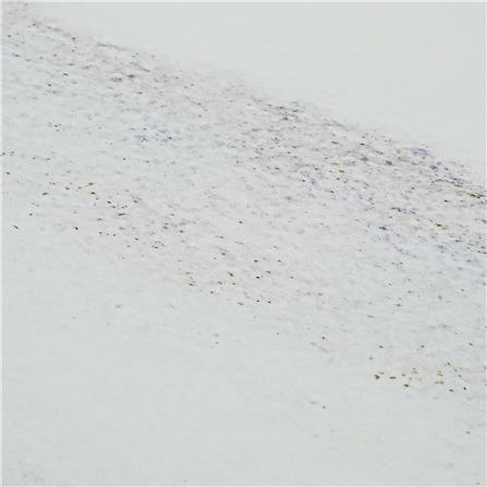 โต๊ะอาหาร BENETTA SERENO ลายหินอ่อน_2