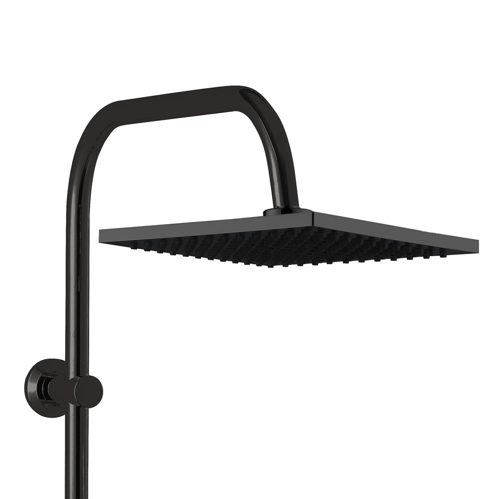 ฝักบัว RAIN SHOWER MOYA PLUS 8003-10 สีดำ