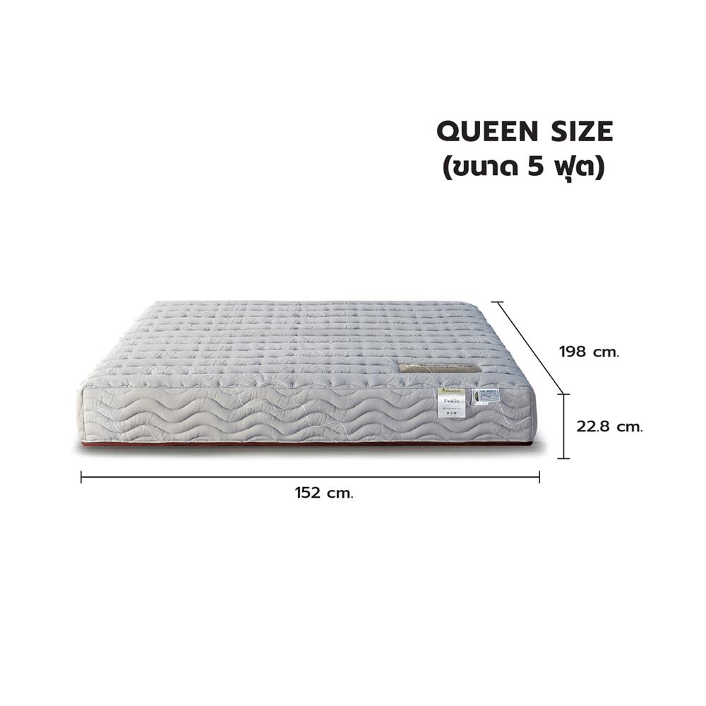 ที่นอน 5 ฟุต DREAM TREE DAHLIA สีเทา