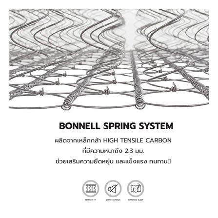 ที่นอน 5 ฟุต DREAM TREE DAHLIA สีเทา_4