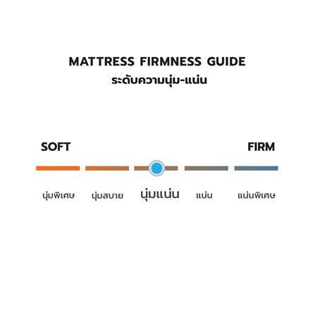 ที่นอน 5 ฟุต DREAM TREE DAHLIA สีเทา_5