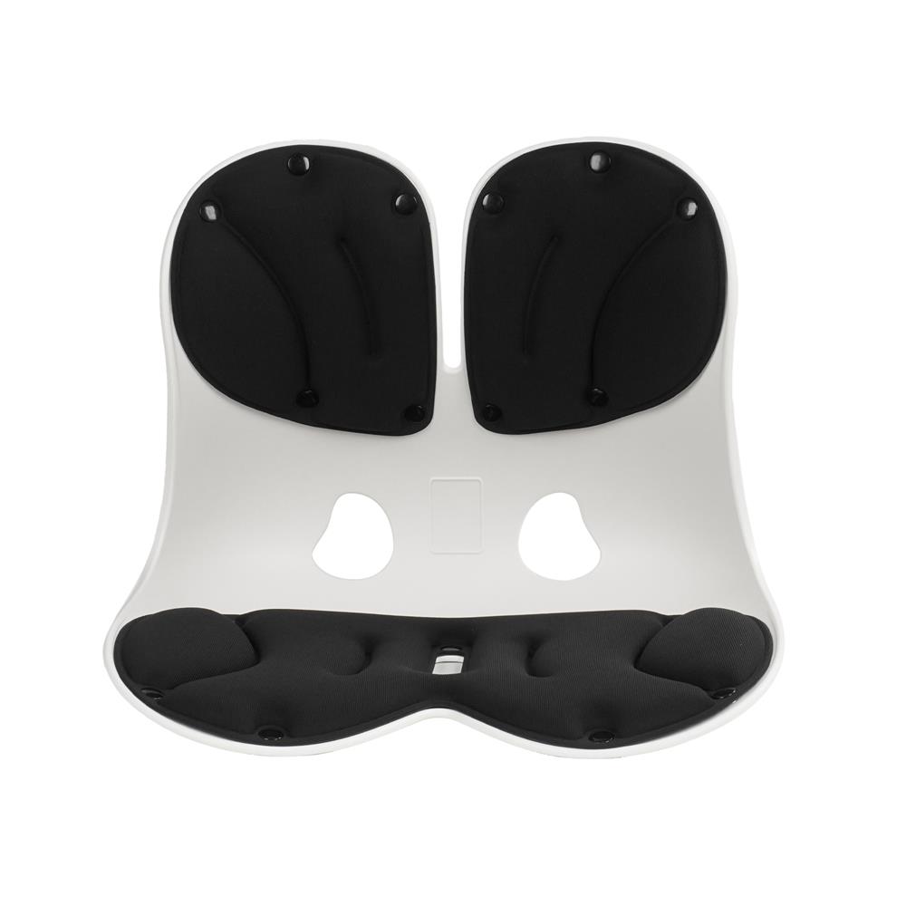 เบาะรองหลัง HOME LIVING STYLE ERGONO 17x13.5 นิ้ว สีดำ_0