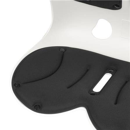 เบาะรองหลัง HOME LIVING STYLE ERGONO 17x13.5 นิ้ว สีดำ_3