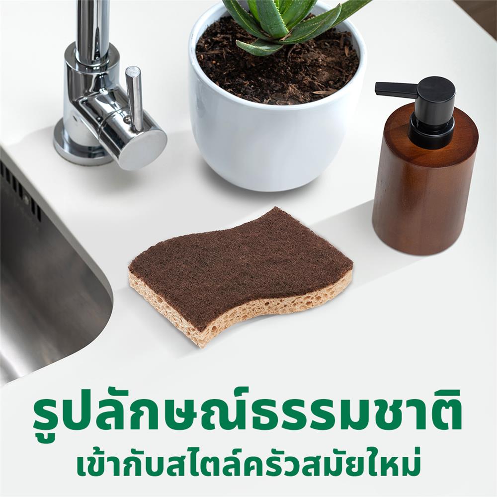 ฟองน้ำเซลลูโลสพร้อมแผ่นใยขัด SCOTCH-BRITE GREENER CLEAN สำหรับงานขัดไร้ริ้วรอย (แพ็ก 2 ชิ้น)