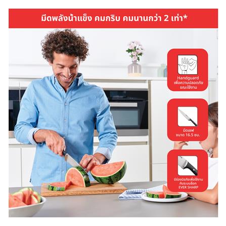 ชุดมีด 9,11,20 ซม. TEFAL ICE FORCE (แพ็ก 4 ชิ้น)_4