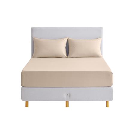 ชุดผ้าปูที่นอน 6 ฟุต (ชุด 3 ชิ้น) OMAZZ PAUL TAILOR CHAMPAGNE_1