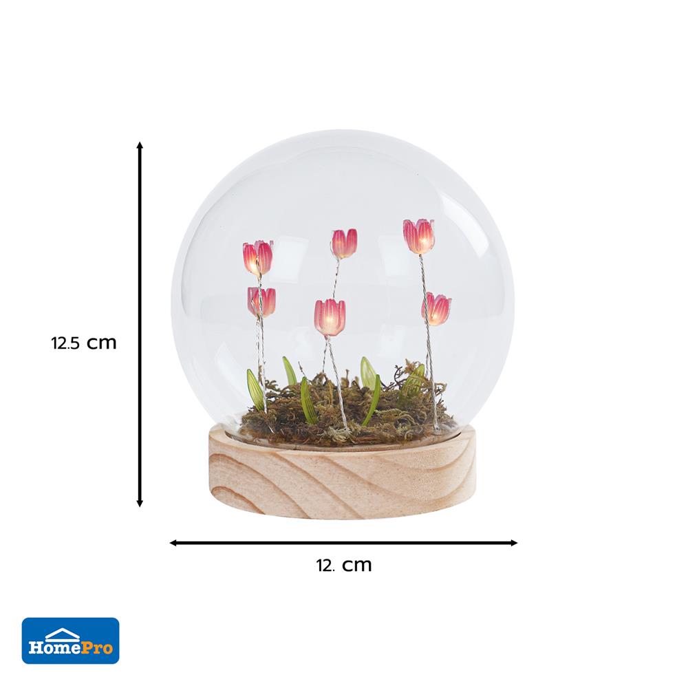 กล่องไฟตกแต่ง SNAZZ บอลแก้ว TULIP LAVENDER