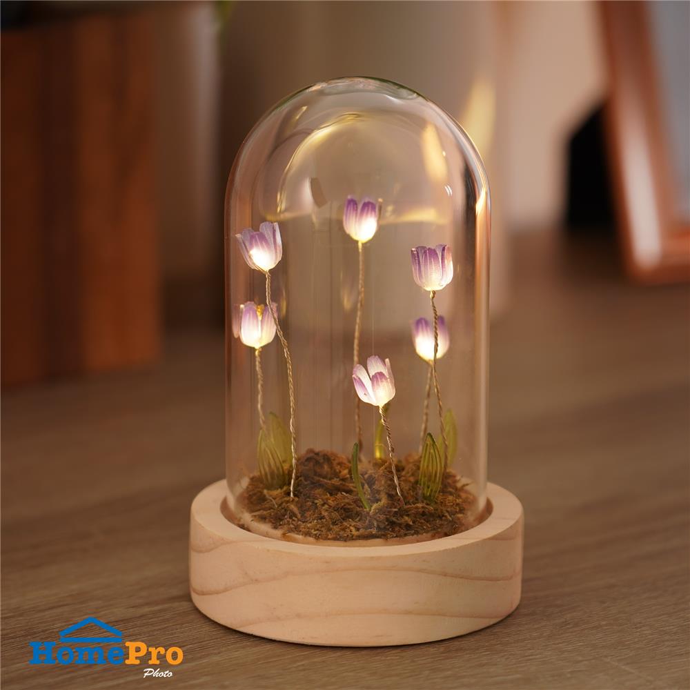 กล่องไฟตกแต่ง SNAZZ โดมแก้ว TULIP LAVENDER