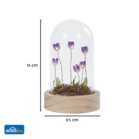 กล่องไฟตกแต่ง SNAZZ โดมแก้ว TULIP LAVENDER_4