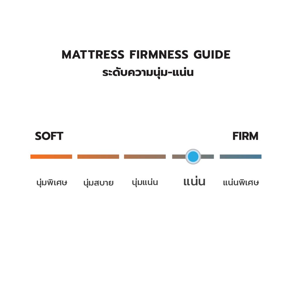 ที่นอน 6 ฟุต DREAM TREE DIARY DREAM