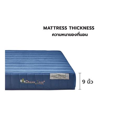 ที่นอน 6 ฟุต DREAM TREE DIARY DREAM_8