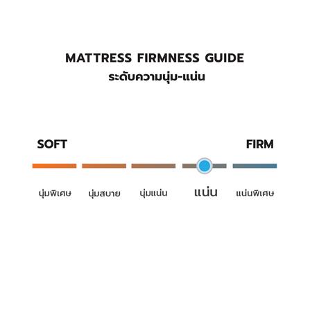 ที่นอน 6 ฟุต DREAM TREE DIARY DREAM_6