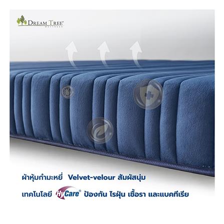 ที่นอน 6 ฟุต DREAM TREE DIARY DREAM_7