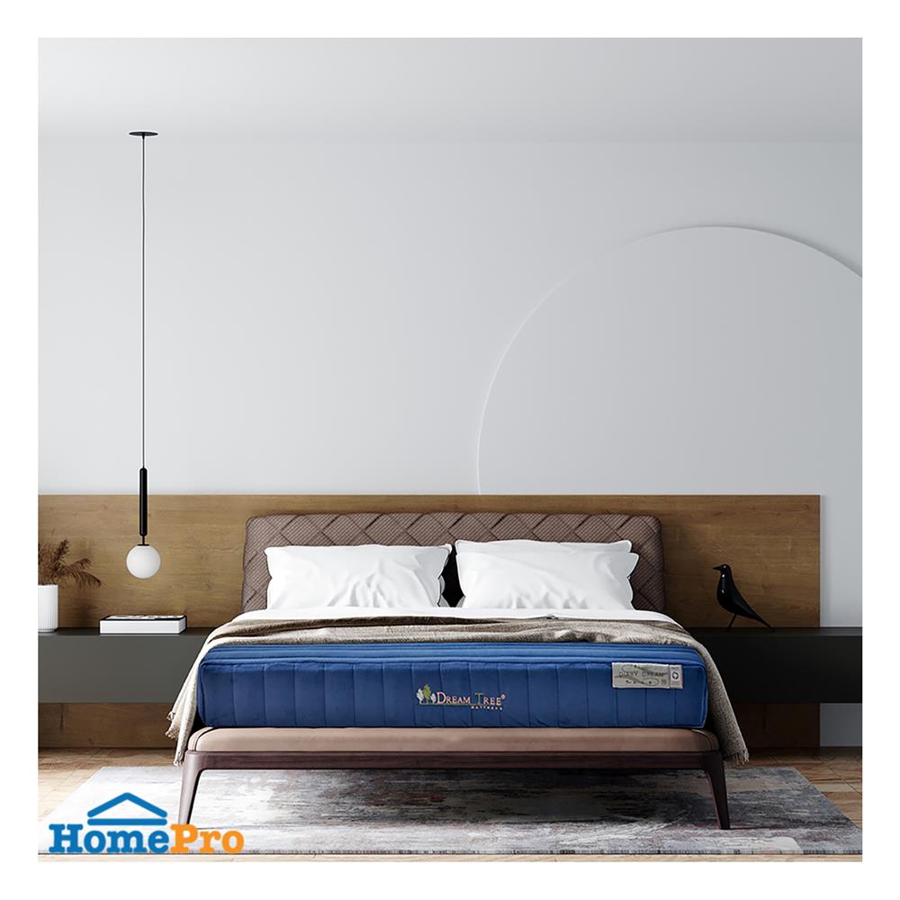 ที่นอน 5 ฟุต DREAM TREE DIARY DREAM