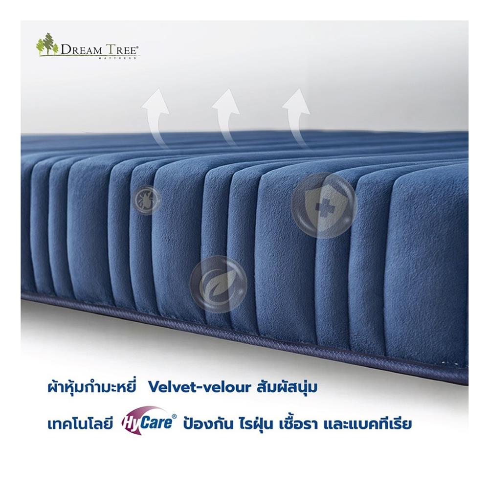 ที่นอน 5 ฟุต DREAM TREE DIARY DREAM