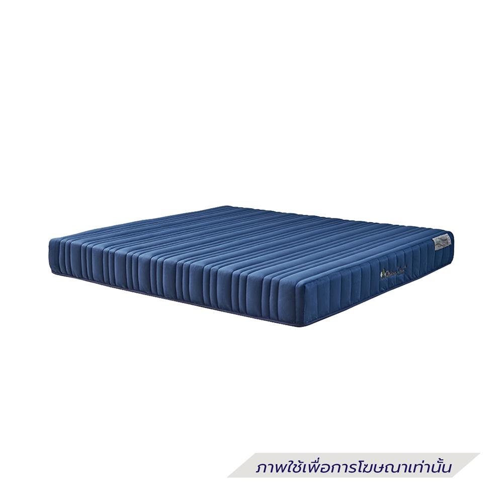 ที่นอน 3.5 ฟุต DREAM TREE DIARY DREAM