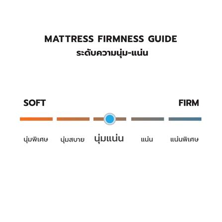 ที่นอน 3.5 ฟุต DREAM TREE DAHLIA สีเทา_6