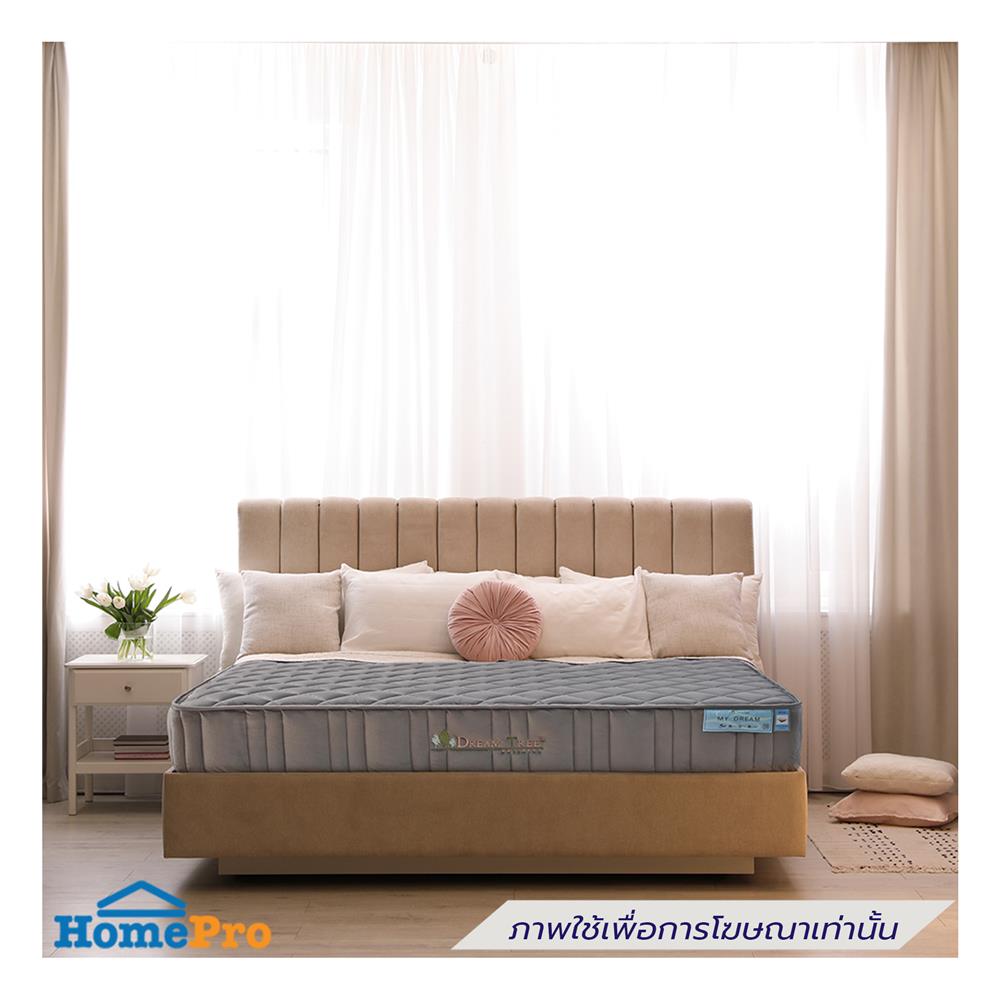 ที่นอน 5 ฟุต DREAM TREE MY DREAM