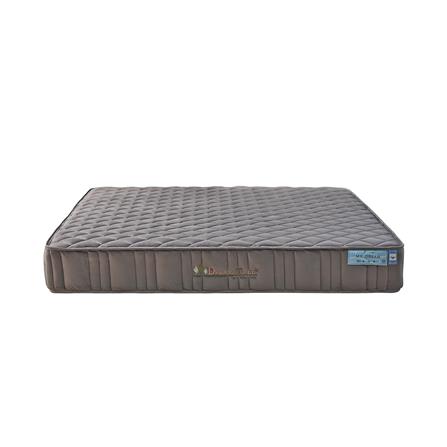 ที่นอน 5 ฟุต DREAM TREE MY DREAM_0