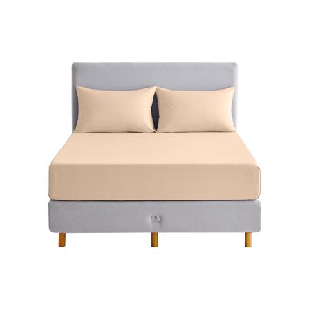 ชุดผ้าปูที่นอน 5 ฟุต (ชุด 3 ชิ้น) OMAZZ PAUL TAILOR CHAMPAGNE_1