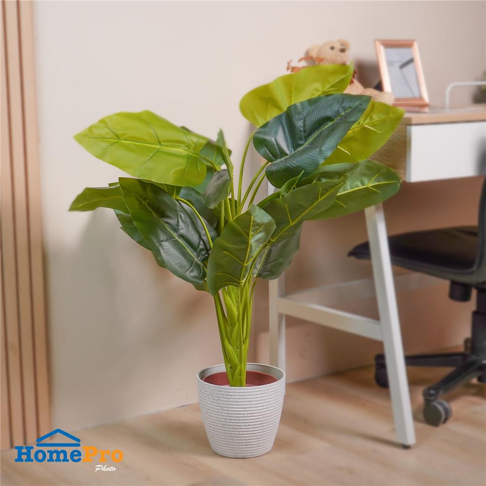 กระถางพลาสติก SPRING MORE 21 ซม. สีขาว