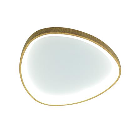 ไฟเพดาน LED STARLIGHT 05-SL-23876 45 วัตต์ DAYLIGHT/COOL WHITE/WARMWHITE 15 นิ้ว สีขาว/ลายไม้_1