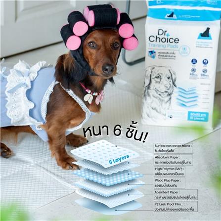 แผ่นรองซับ DR.CHOICE SIZE M 45x60 ซม. (แพ็ก 10 ชิ้น)_3