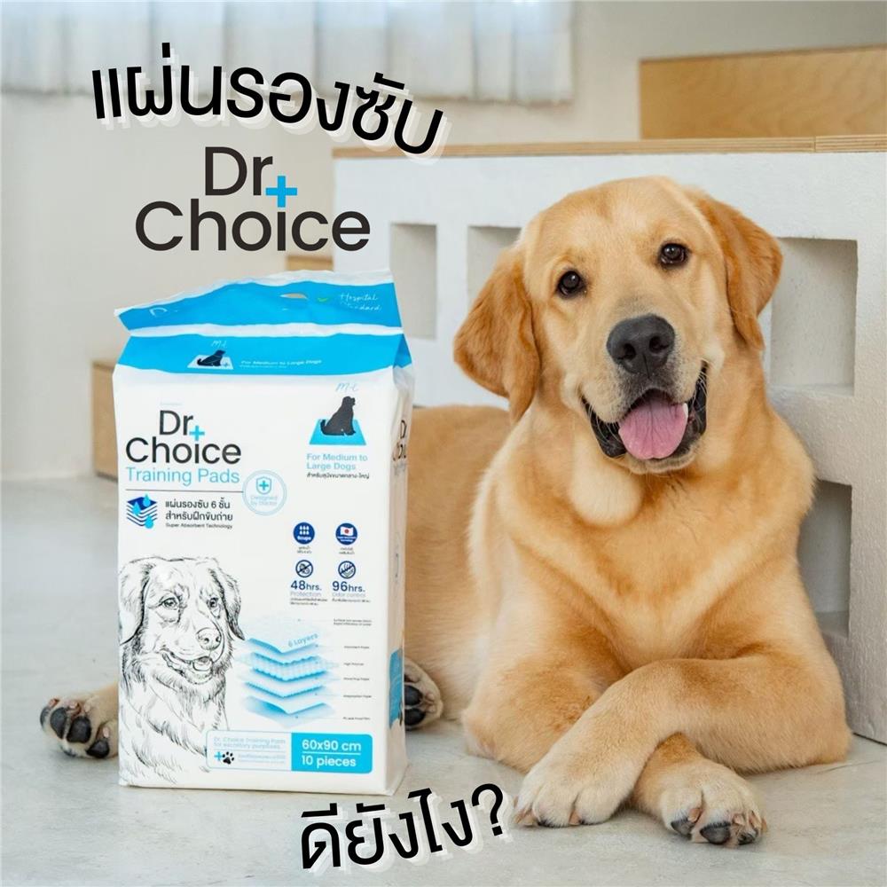 แผ่นรองซับ DR.CHOICE SIZE L 60x90 ซม. (แพ็ก 10 ชิ้น)