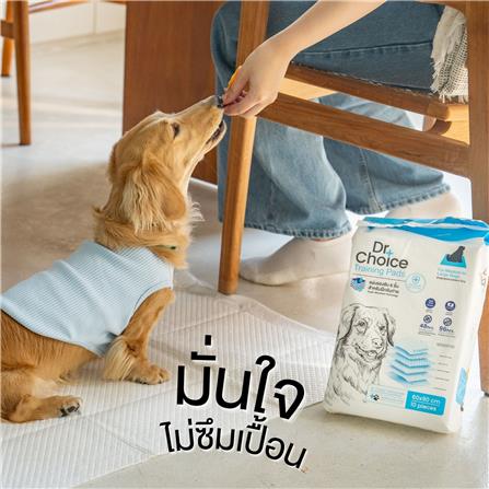 แผ่นรองซับ DR.CHOICE SIZE L 60x90 ซม. (แพ็ก 10 ชิ้น)_2