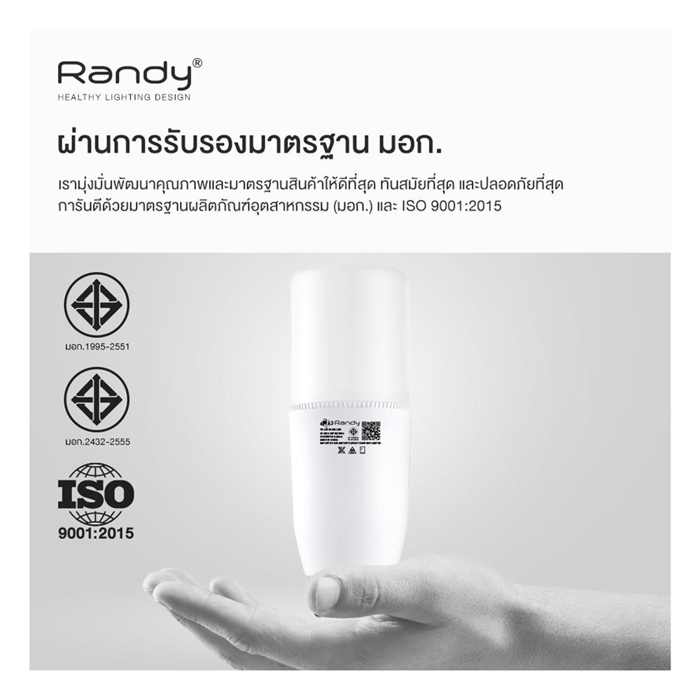 หลอด LED RANDY TUBE LIGHT YD-13E 13 วัตต์ DAYLIGHT E27