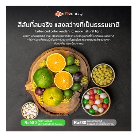 หลอด LED RANDY CEILING MODULE YD-54Q 54 วัตต์ DAYLIGHT/COOL WHITE/WARM WHITE_4