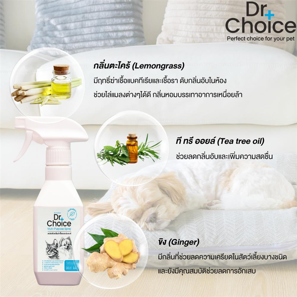 สเปรย์ดับกลิ่นอเนกประสงค์ DR.CHOICE MULIT-PURPOSESPRAY 300 มล.