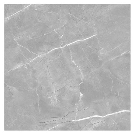 กระเบื้องพื้นพอร์ซเลน 60x60 ซม. DURAGRES โทเบียส  เทา A 1.44 ตร.ม._0